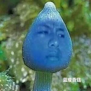 蓝瘦香菇