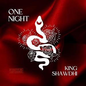 One night (Explicit)