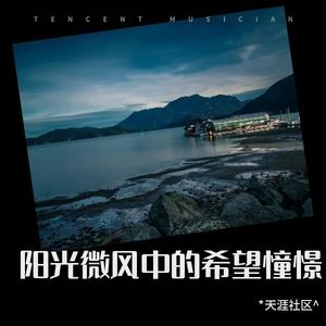 阳光微风中的希望憧憬