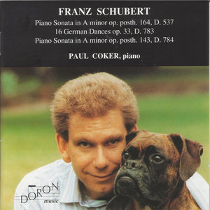 Piano Sonata in A Minor, Op. Posth. 164, D. 537 - I. Allegro ma non troppo