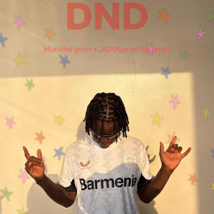 DND (feat. JIDU) (Explicit)