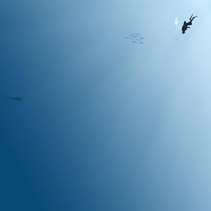 Negative Islands (Original Mix)