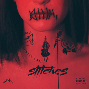 Stitches (Explicit)