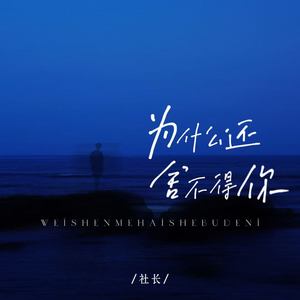 为什么还舍不得你