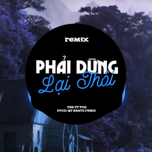 Phải Dừng Lại Thôi (QT Beatz Remix)