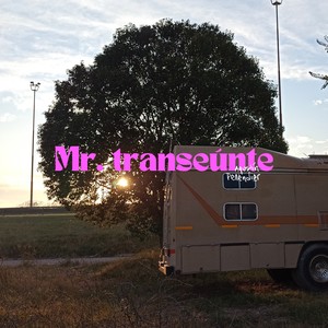 Mr. Transeúnte