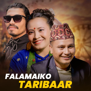 Falamaiko Taribaar