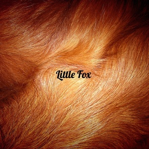 Little Fox的专辑สุดแท้แต่