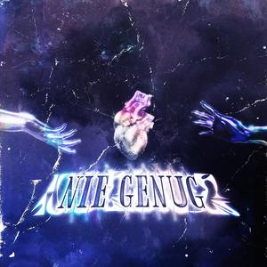 Nie genug (Explicit)