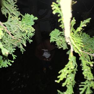 Washin My Sins (Explicit)