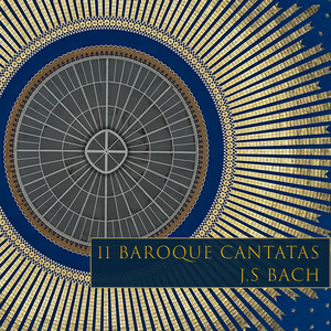 Herz und Mund und Tat und Leben, Cantata BWV 147, Pt. 2 - J.S. Bach: Herz und Mund und Tat und Leben, Cantata BWV 147, Pt. 2: VIII. Recitativo. Der höchsten Allmacht Wunderhand