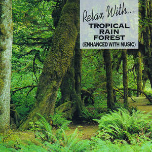 Relax with Tropical Rain Forest