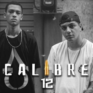 Calibre 12