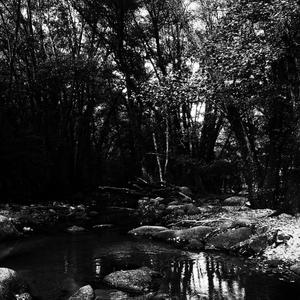 Ya llegó (Explicit)