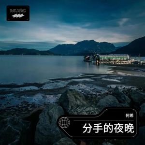 分手的夜晚 (Live)