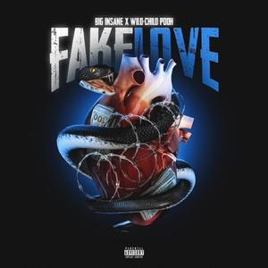 Fake Love (feat. Big Insane & Wild-Child Pooh) (Explicit)