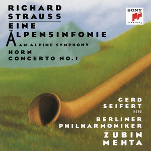 Concerto No. 1 for Horn and Orchestra in E-Flat Major, Op. 11 - I. Allegro (第一乐章 快板)