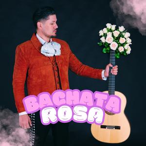 Bachata rosa