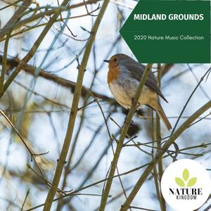 Midland Grounds - 2020 Nature Music Collection