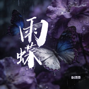 雨蝶 (DJ刀刀版)封面