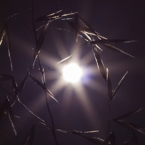 VIENTITO DE TILCARA (Remix)