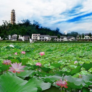 开江永远欢迎你