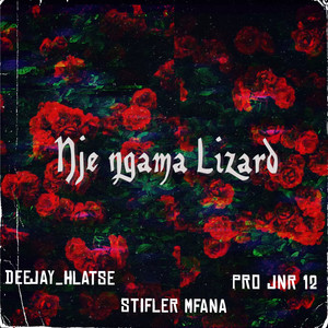 Nje ngama lizard (2024 Instrumental version)