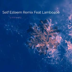 Self Esteem (feat. Lambo4oe) [Tjmix] [Explicit]