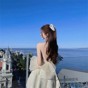 恐龙扛狼扛狼扛 (新版)