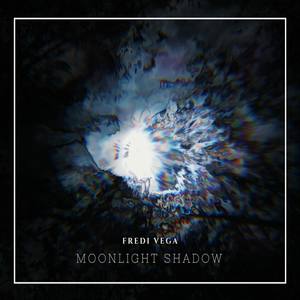 Moonlight Shadow (Explicit)