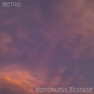 Motionless Ecstasy (Explicit)