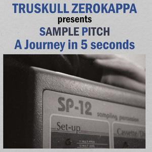 Sample Pitch (A Journey in 5 seconds)