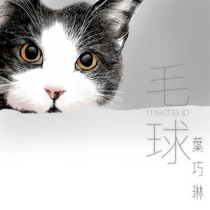 毛球 (360 Reality Audio)