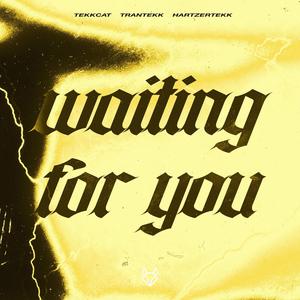 Waiting For You (HardTekk)