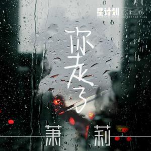 萧莉 - 你走了 (伴奏)