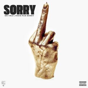 SORRY (Explicit)