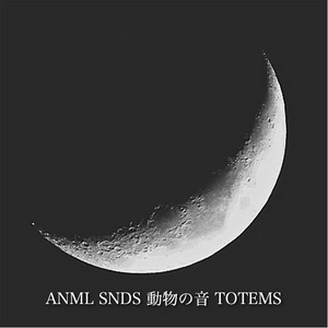 Anml Snds - Shaman Song(feat. Sleepyface)