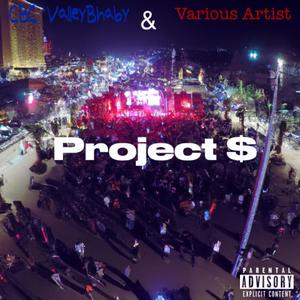 Project S (Explicit)