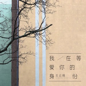 我在等，爱你的身份封面