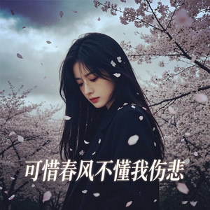 可惜春风不懂我伤悲-DJ大雪儿&DJ小仙儿