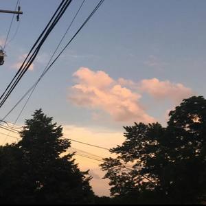 promise(feat. loathed)
