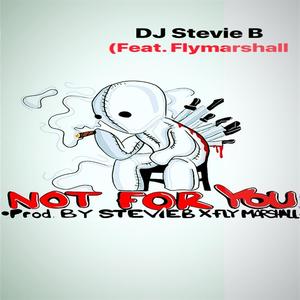 Not for You (feat. Flymarshall) [Explicit]