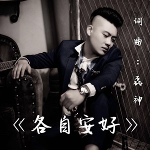 磊神 - 各自安好 (伴奏)