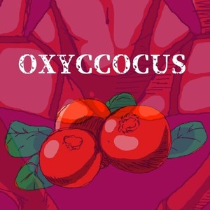 OXYCOCCUS (Explicit)