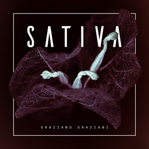 Sativa