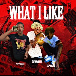 What I Like (feat. Rayhavinit & LilParker) (Explicit)