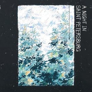 A night in Saint Petersburg