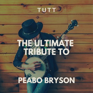 If Ever You're In My Arms Again(Originally Performed By Peabo Bryson)