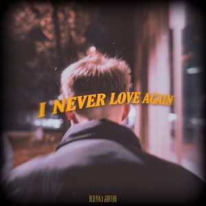 I Never Love Again