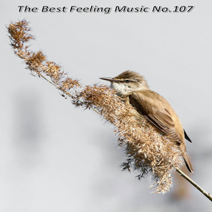 Feel The Fire (Dirty Nano Remix|2025 Edit)